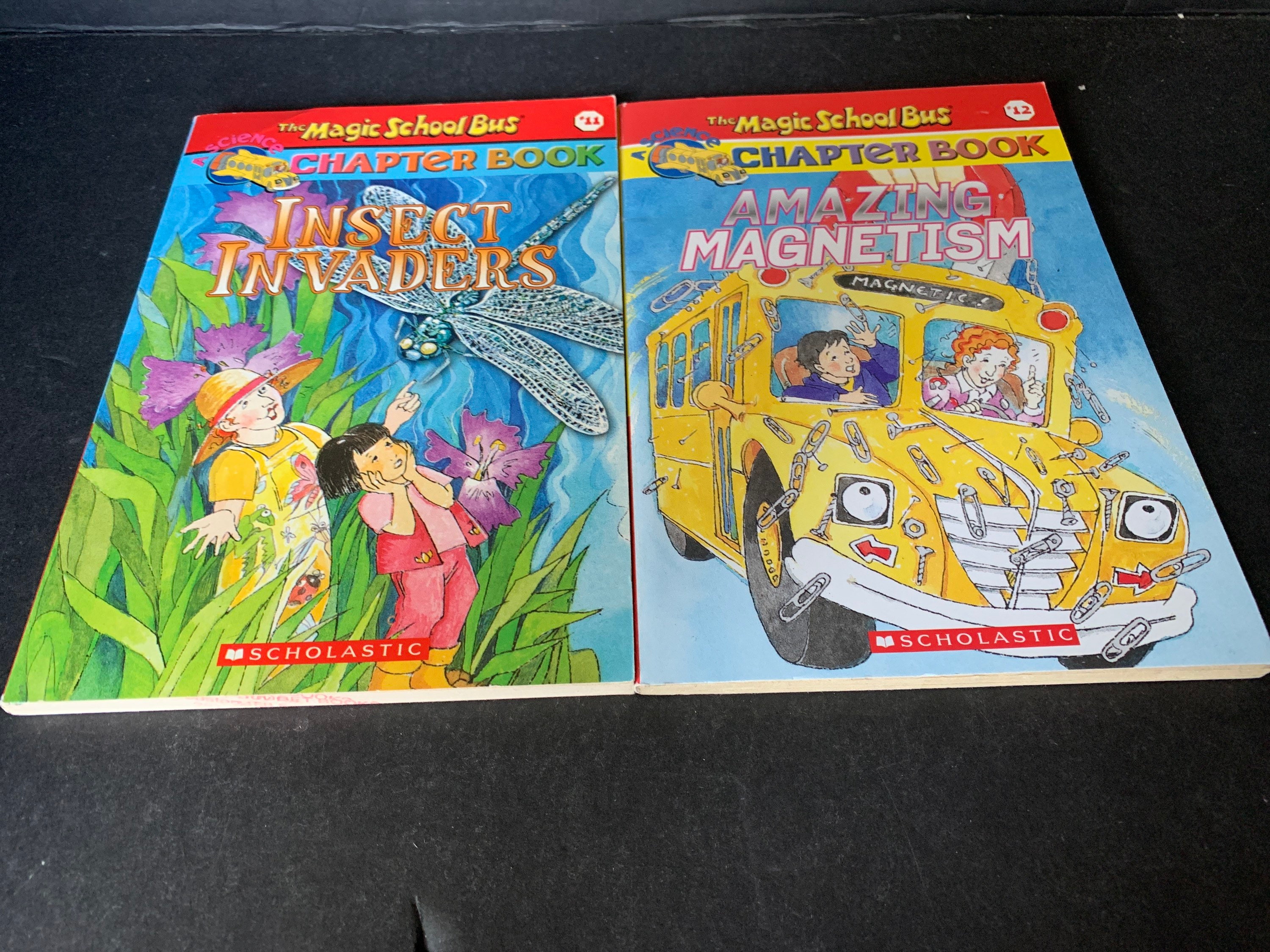 The Magic School Bus Chapter Book Series by Scholastic Inc. | Etsy