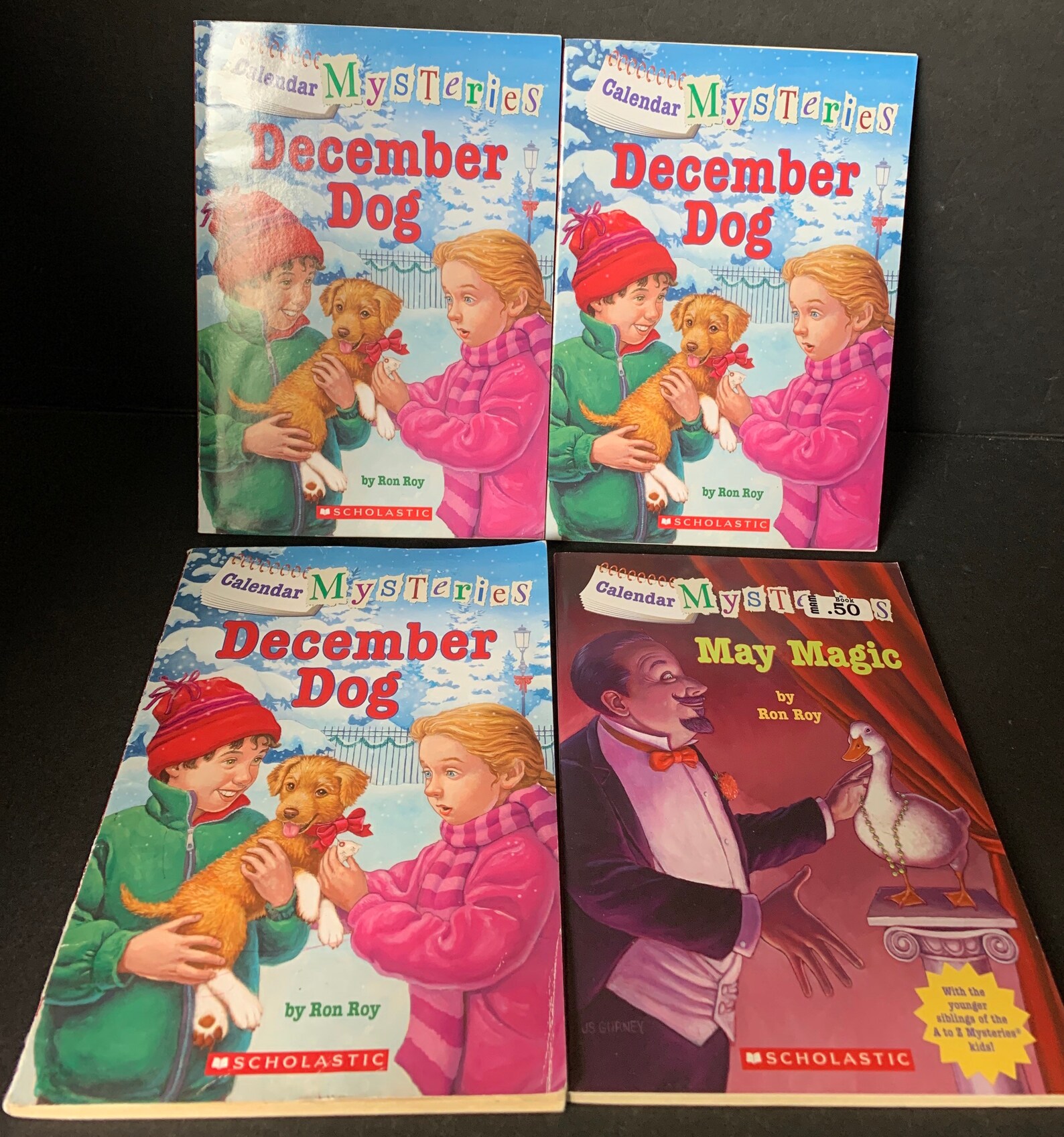 Calendar Mysteries by Ron Roy Choose Your Title Etsy