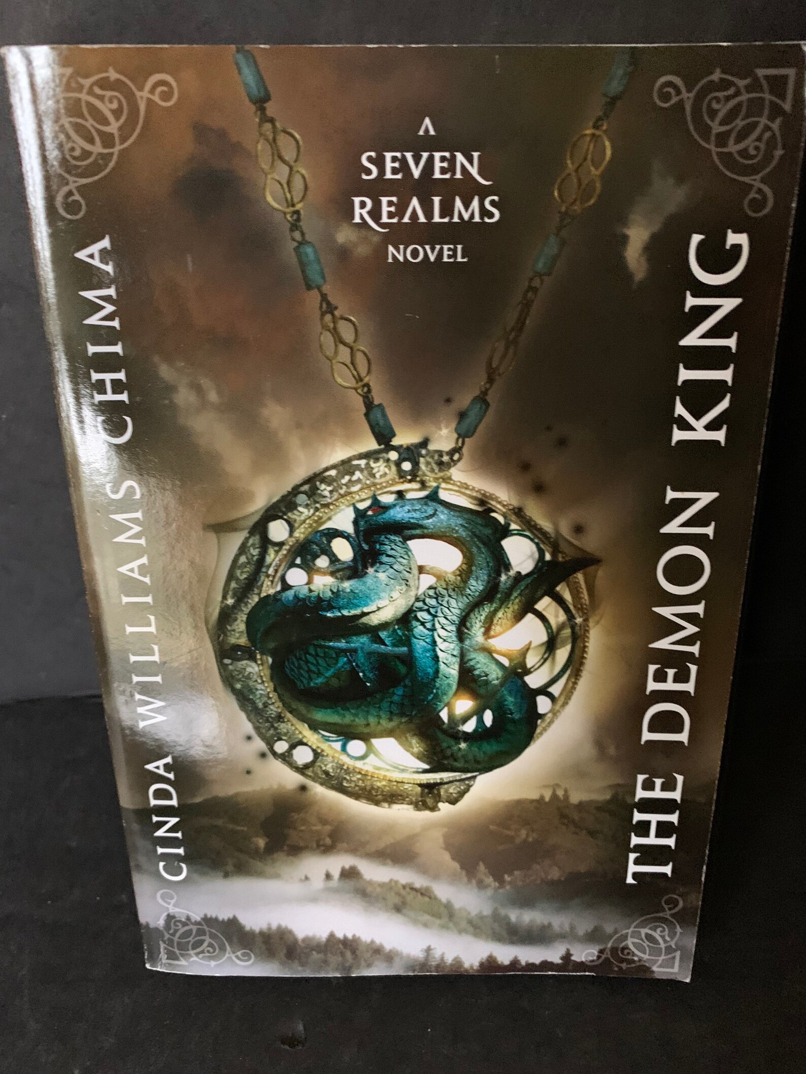 Seven Realms Series By Cinda Williams Chima Paperback Book 1 Etsy