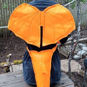 Dragon Wing and Tail Set