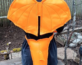 Conjunto de alas y cola de dragón