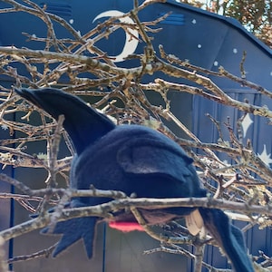 Crow Stuffed Animal