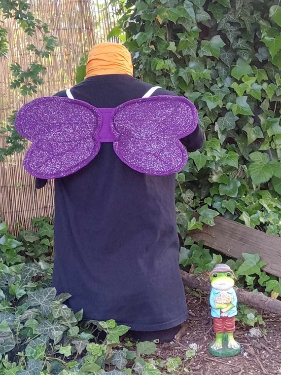 Dragonfly Wings Sparkly
