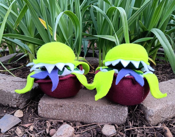 Carnivorous Plant Stuffy