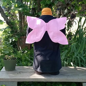 Fairy Wings