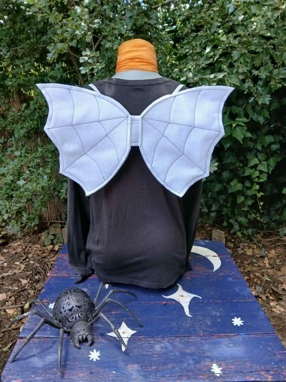 Spider Web Wings