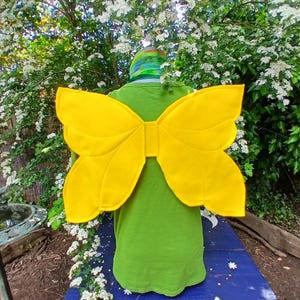 Fairy Wings Adult Size