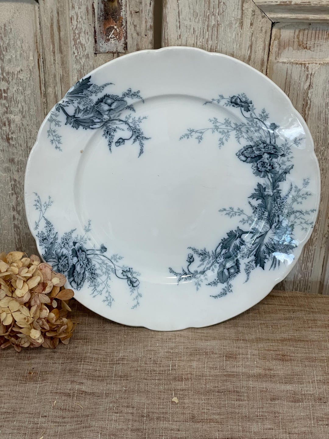 Antique English Johnson Bros 10” Dinner Plate“paris” Pattern With