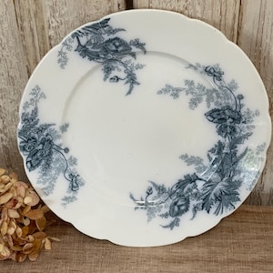 May include: A white ceramic plate with a blue floral design. The plate has a scalloped edge and features a repeating pattern of blue flowers and leaves.