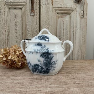 May include: White porcelain sugar bowl with a lid, featuring a blue floral design. The bowl has two handles and a loop handle on the lid. The design includes detailed illustrations of flowers and foliage. The sugar bowl is a vintage item.