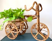 Large Rattan Tricycle Planter