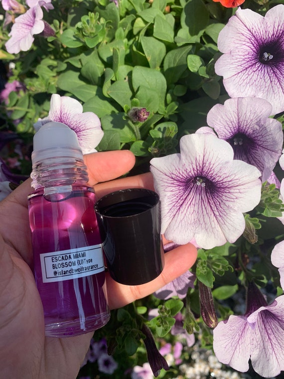 escada miami blossom price