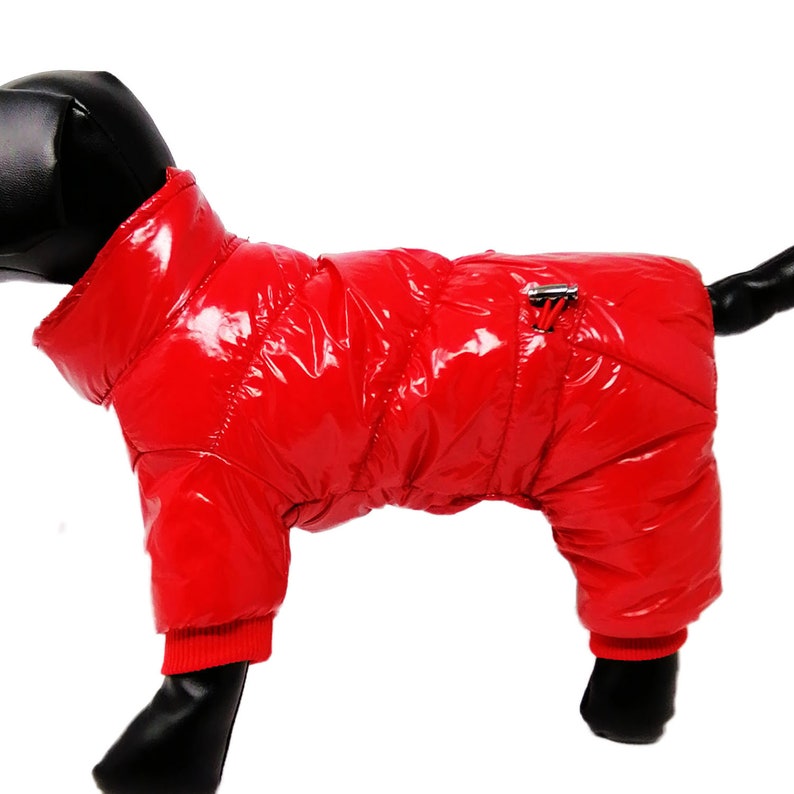 Winter Dog Snowsuit Waterresistant Blue Pink Redsilver Etsy