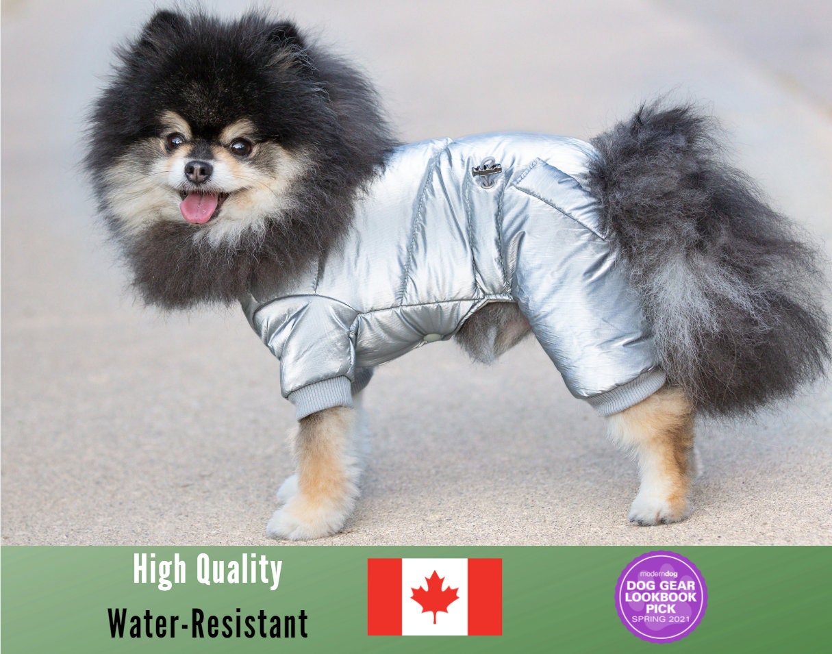 dog snowsuit canada