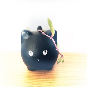 Adorable Customizable pet planter cat lovers unite! Small cute indoor planter great for gift or keep for yourself!