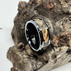 Buckeye Burl and Black Ceramic Wedding Band/ Engagement Ring