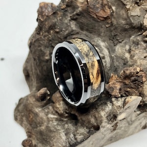 Glen - Buckeye Burl Wood & Fishing Line Wedding Band Titanium / Light Buckeye Burl