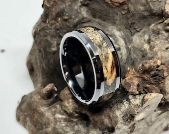 Buckeye Burl and Black Ceramic Wedding Band/ Engagement Ring