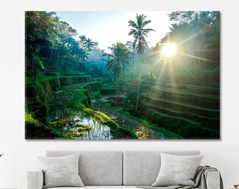 May include: A panoramic view of lush green rice paddies in a tropical setting. The sun shines brightly through the trees, casting long rays of light across the landscape. Palm trees stand tall in the foreground, adding to the tropical ambiance.