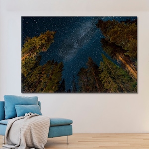 Impression d'affiche photo ciel étoilé, belle décoration murale forêt, impression sur toile étoiles voie lactée, paysage d'arbres, art parc de nuit, art forêt magique