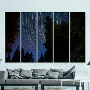 Shooting Stars Wandbild, Himmel Foto Druck, Schöne Wald Sternspuren Wanddekoration, Sterne Leinwand Druck, Bäume Landschaft Magischer Wald Kunst