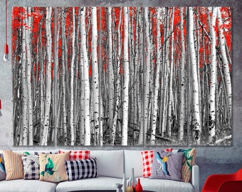 May include: A black and white photograph of a forest of birch trees with red leaves in the background. The trees are tall and slender, and the leaves are a vibrant red.