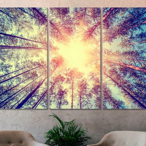 Redwood Forest Wall Art Canvas Tree Print Nature Home Art Etsy
