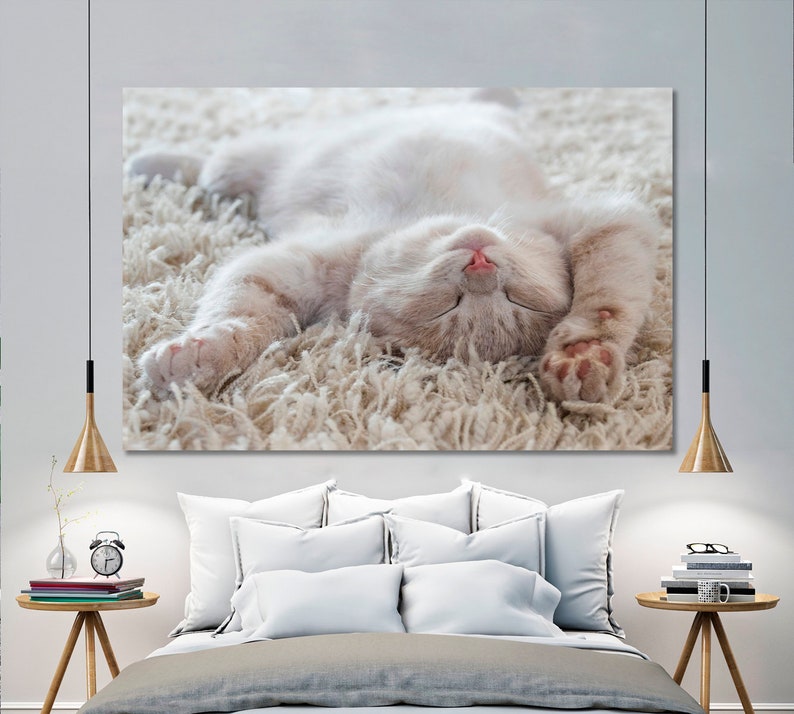 Cute Cat Wall Decor Pet Animal Wall Decoration Kitten Canvas Etsy