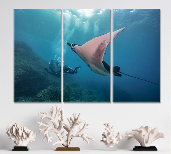 Beautiful Manta Ray Underwater With Scuba Divers Wall Art Canvas