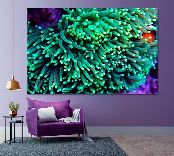 Aquatic Life Euphyllia Torch Lps Coral Wall Art Abstract Etsy