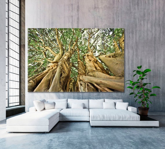 大きなバオバブの木の壁アート | カーステンボッシュ・ガーデンズ