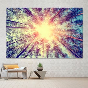 May include: A vintage-style photograph of a forest with tall trees reaching up towards a bright sun. The sun is shining through the leaves, creating a warm, golden glow. The trees are silhouetted against the sky, creating a dramatic effect.