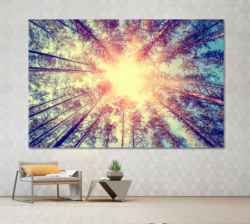 May include: A vintage-style photograph of a forest with tall trees reaching up towards a bright sun. The sun is shining through the leaves, creating a warm, golden glow. The trees are silhouetted against the sky, creating a dramatic effect.