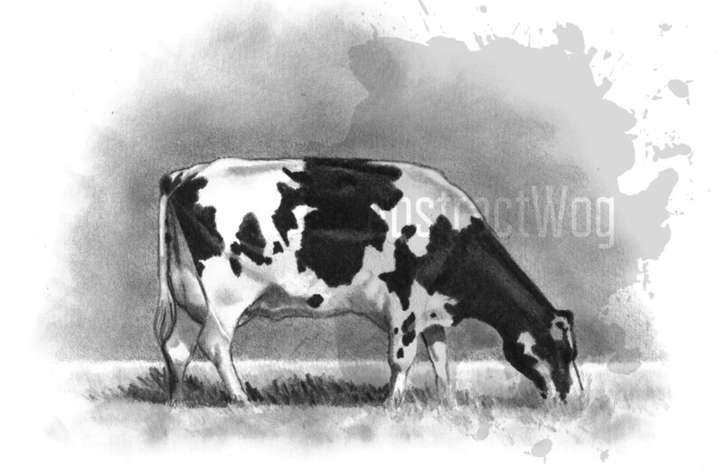 May include: Black and white cow grazing in a field of grass. The cow is facing the left side of the image and has black spots on a white background.