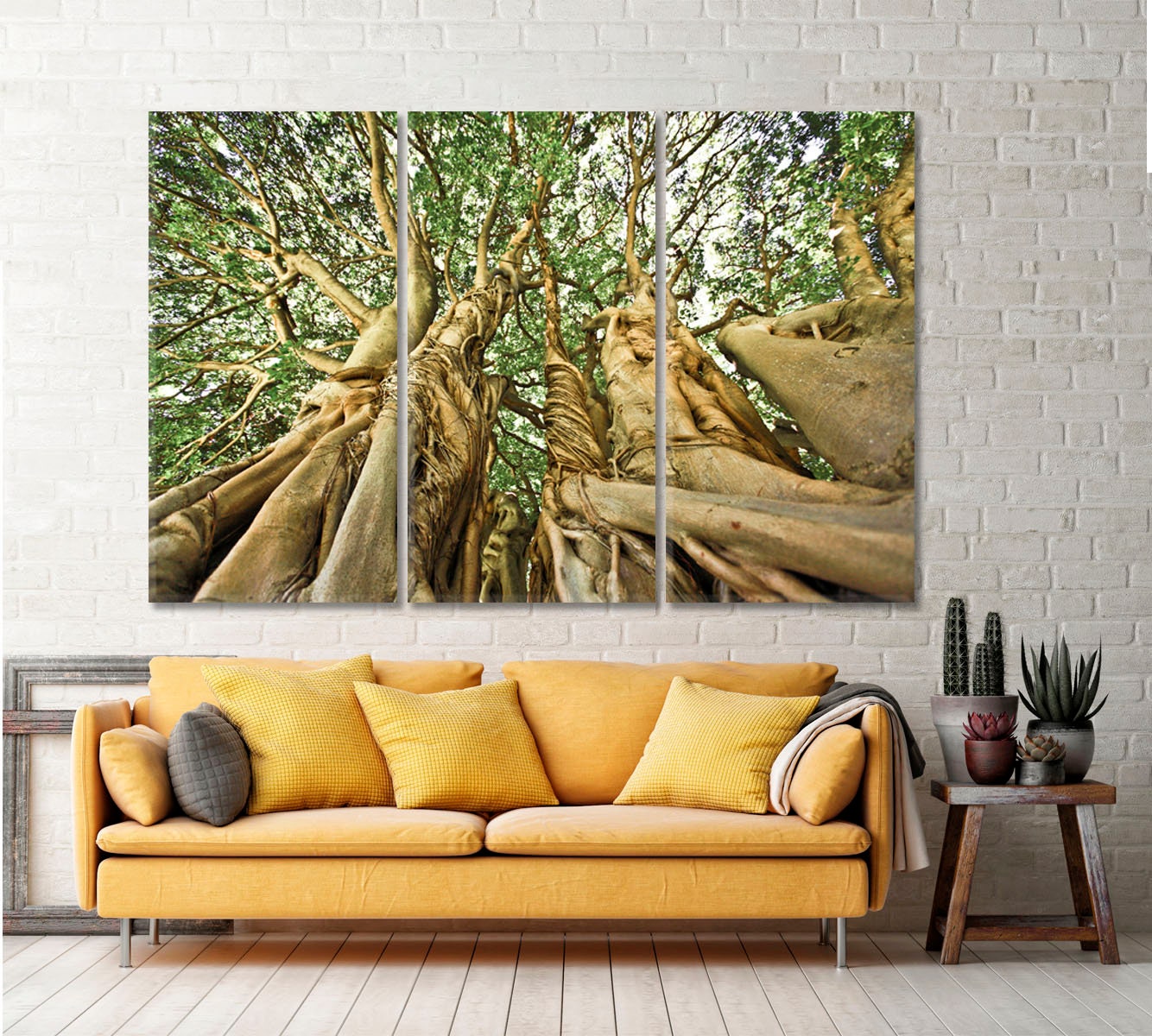 Large Tree Kirstenbosch Gardens Cape Town Photo Poster | Etsy