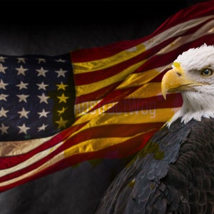 American Flag and Bald Eagle Canvas Wall Art Print