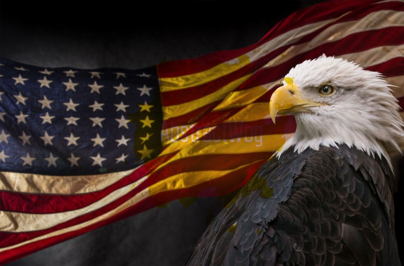 American Flag and Bald Eagle Canvas Wall Art Print