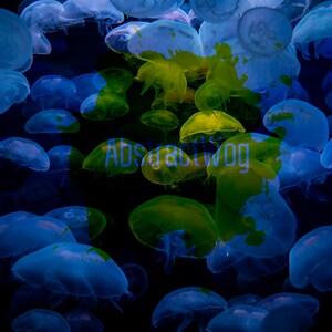 Jellyfish Swarm Canvas Print, Marine Life Wall Art, Mystical Underwater Scene, Luminous Blue Oceanic Decor for Contemporary Spaces