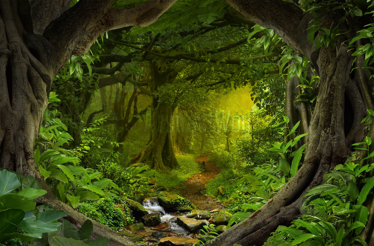 Jungle Jungle Photo Poster Print Canvas Deep Tropical - Etsy