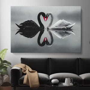 Schwäne Kunstwerk, Schwarzweiße Schwäne Leinwanddruck, Schwäne Wandkunst, Schwäne Wanddekor, Romantisches Schlafzimmer, Wohnzimmerdekor, Geburtstagsgeschenk