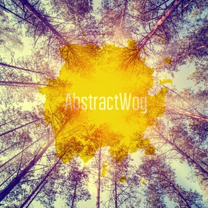 May include: A view from below of a forest canopy with tall trees reaching up towards a bright yellow sunburst in the sky. The text "AbstractWog" is superimposed on the sunburst.