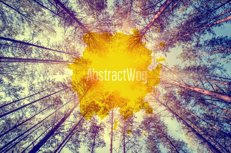 May include: A view from below of a forest canopy with tall trees reaching up towards a bright yellow sunburst in the sky. The text "AbstractWog" is superimposed on the sunburst.