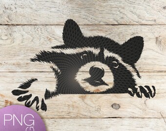 Raccoon Svg Etsy