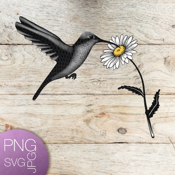 Free Free 253 Flower Hummingbird Svg Free SVG PNG EPS DXF File