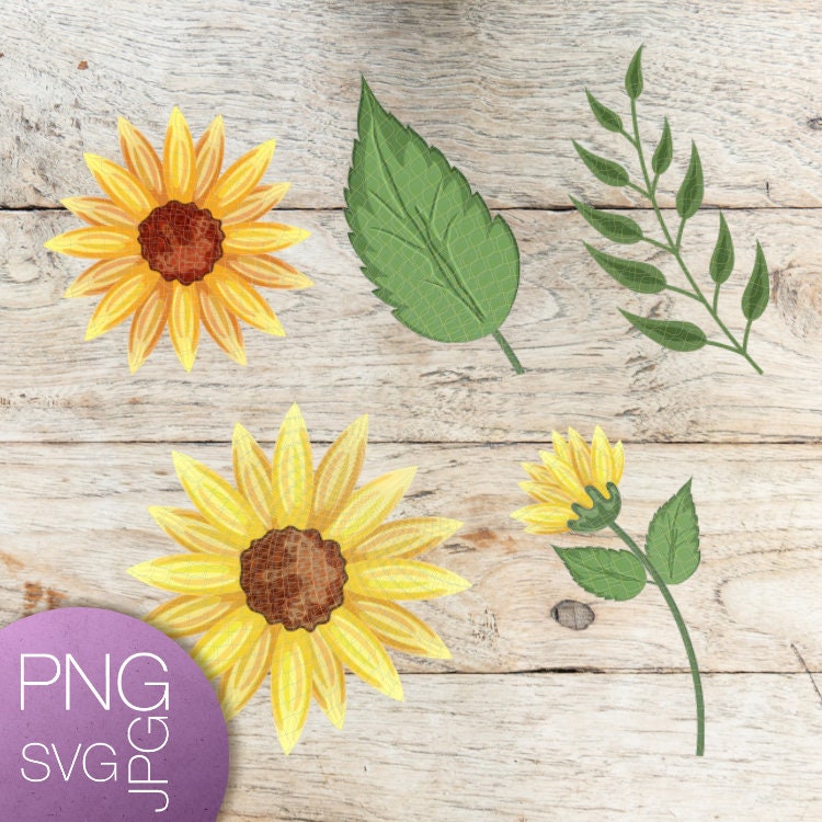 Download Watercolor Sunflower Floral Bundle Svg