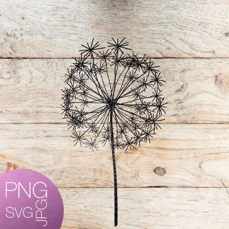 Download Dandelion Svg File Creative Floral Print Svgpngjpg Shirt Cut File Cricut Vinyl Clip Art Printable Digital Wall Decal T Shirt Design Art Collectibles Digital Prints Kromasol Com