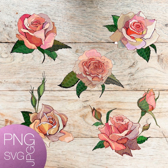 Download Roses Svg Roses Bundle Svg Watercolor Svg Watercolor Bundle Etsy