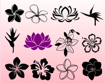 Download Tropical Flower Svg Etsy