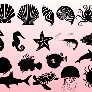 May include: Black and white silhouette illustrations of various sea creatures, including a starfish, seahorse, seashell, octopus, jellyfish, and a turtle.