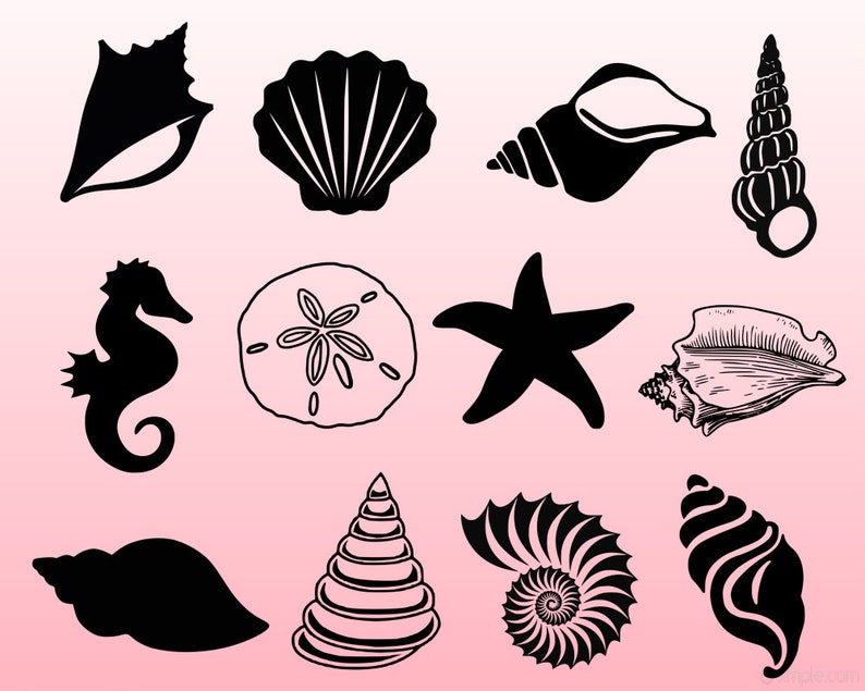 Sea shell bundle svg, seashell svg, beach svg, shell svg, seahorse svg, starfishsvg, shells clipart, sea shell cut files image 1